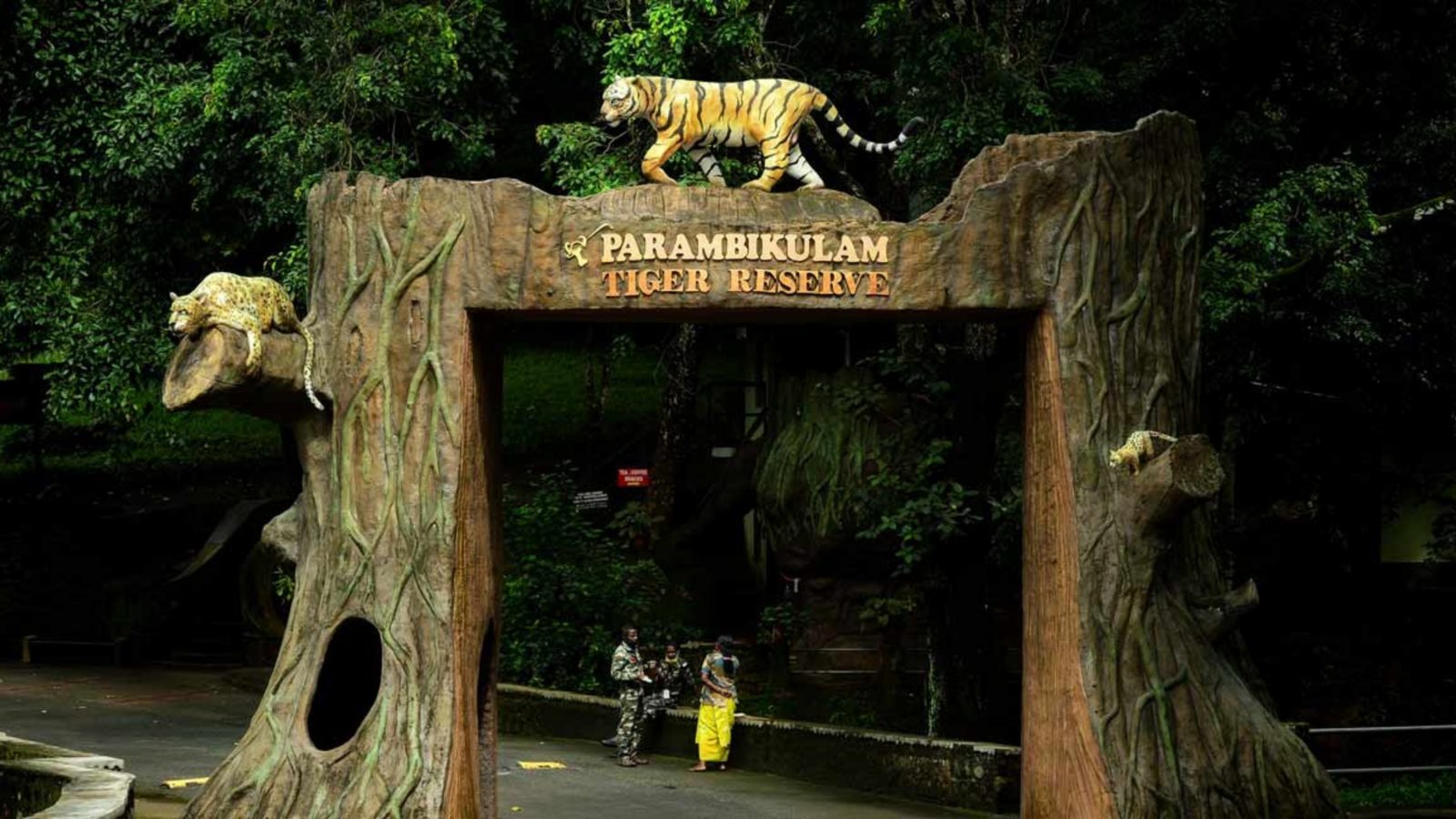 Parambikulam Tiger Reserve: Wildlife Safari from Sparsa Pollachi