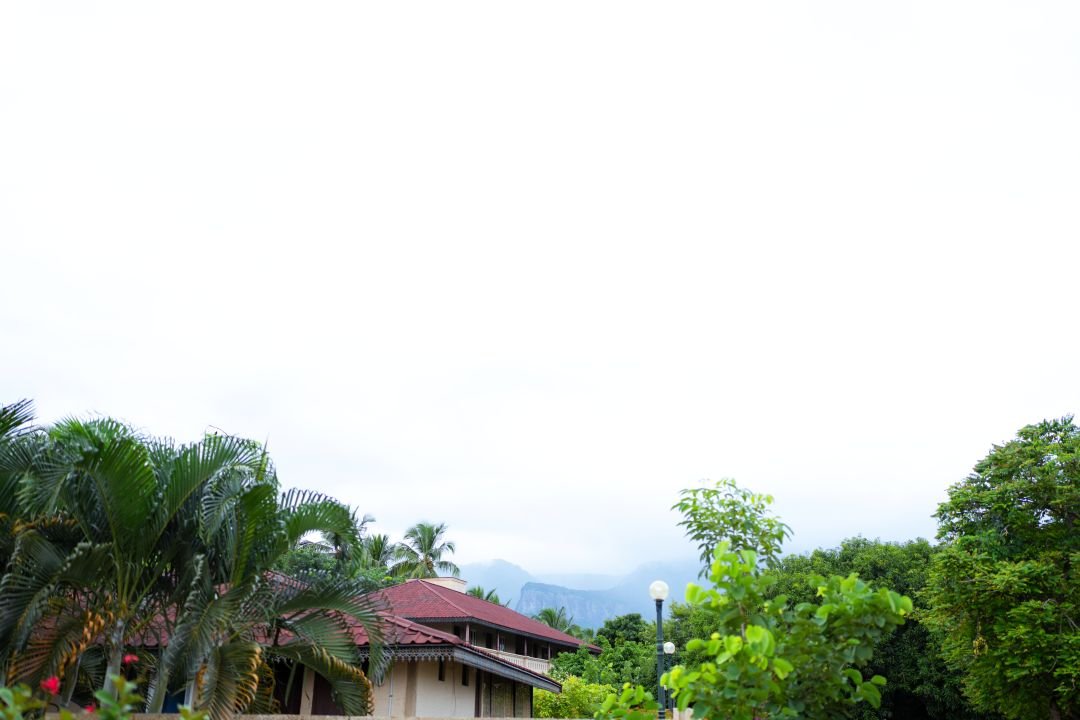 Best Weekend Getaway Near Coimbatore: Why Choose Pollachi