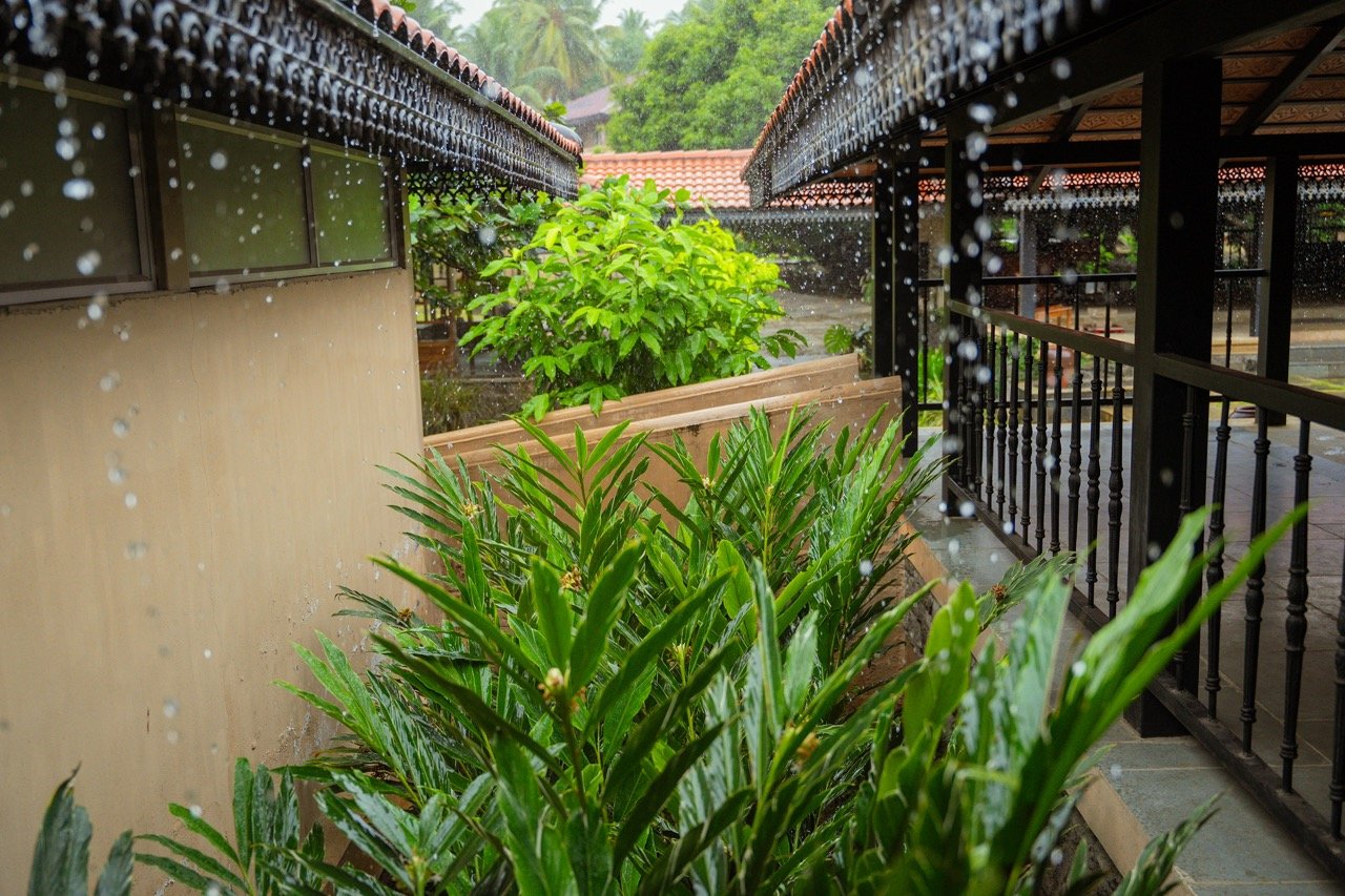Why Monsoon Season is Magical at Sparsa Pollachi