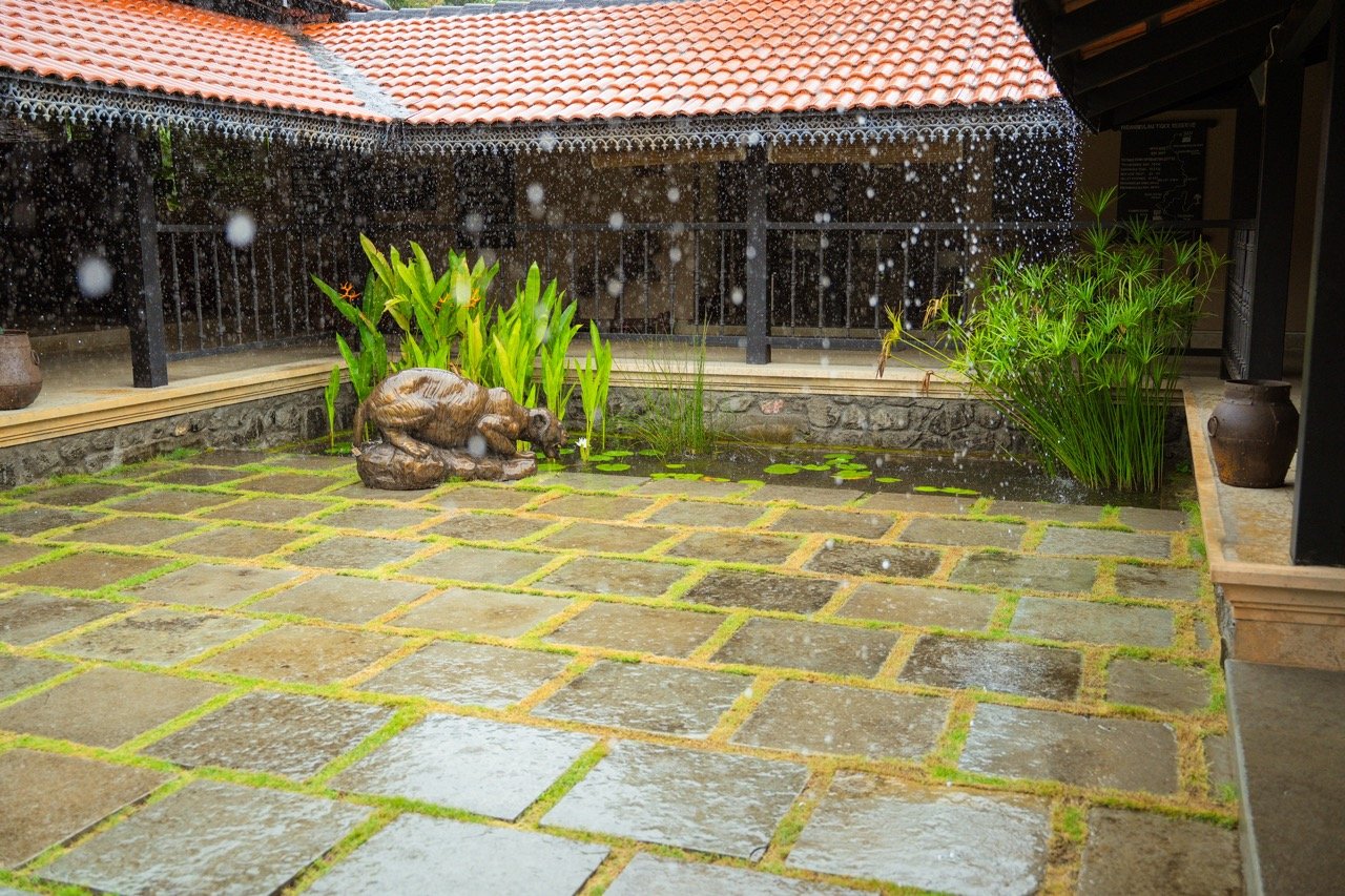 Unplug and Relax: Digital Detox at Sparsa Pollachi