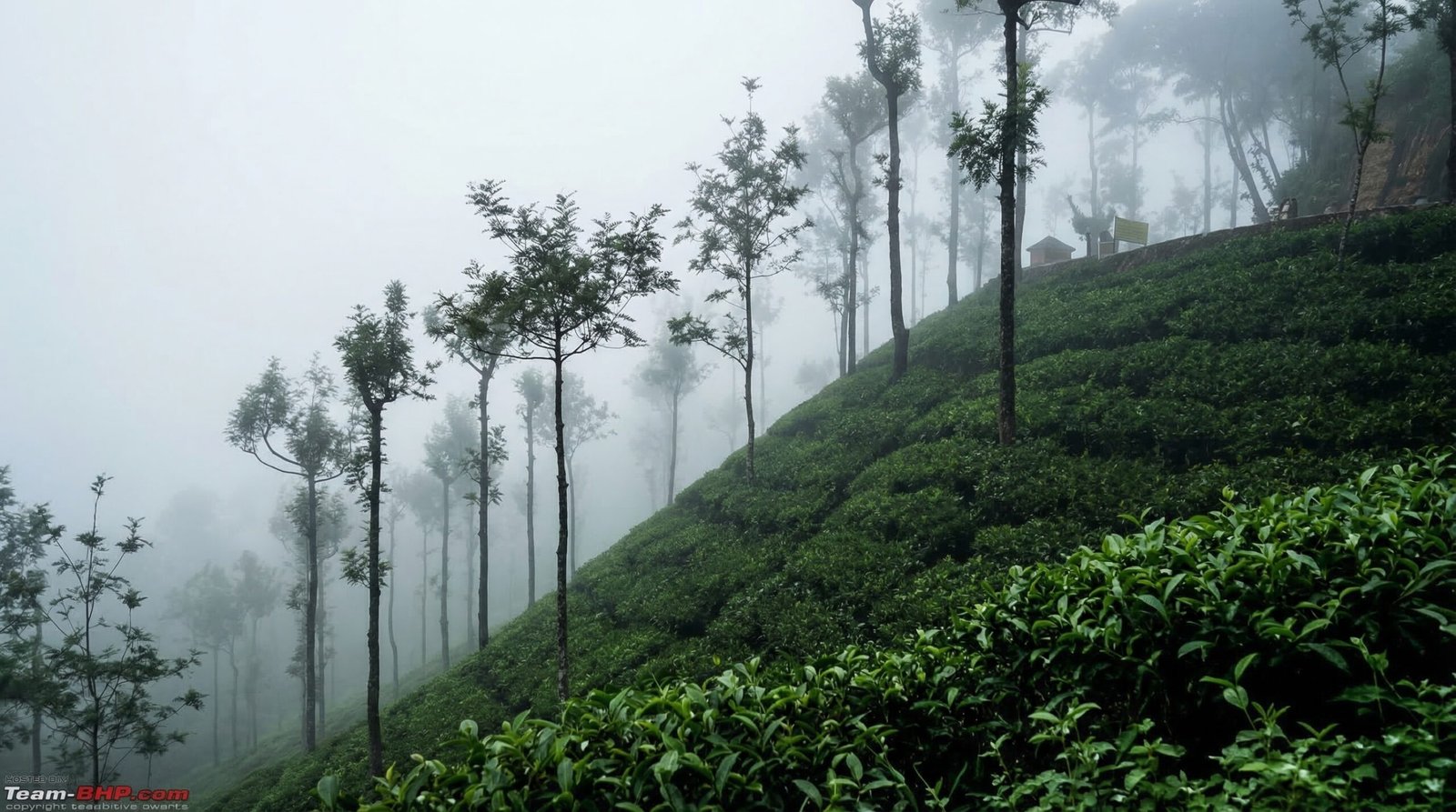 Best Time to Visit Pollachi: A Month-by-Month Guide