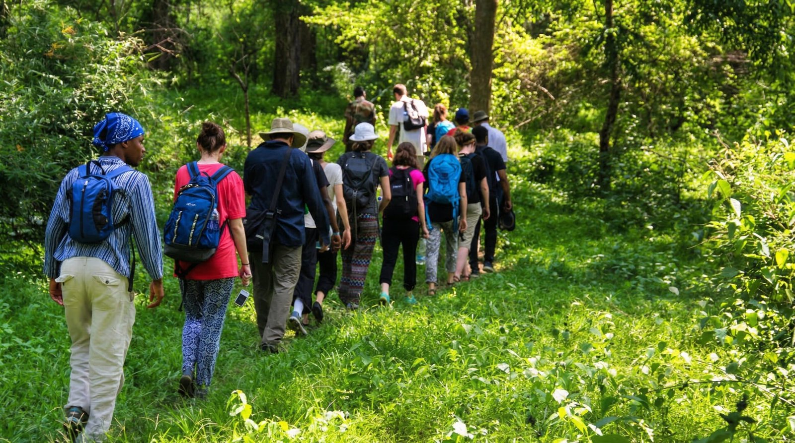 Topslip Trekking: Best Trails for Beginners and Adventurers